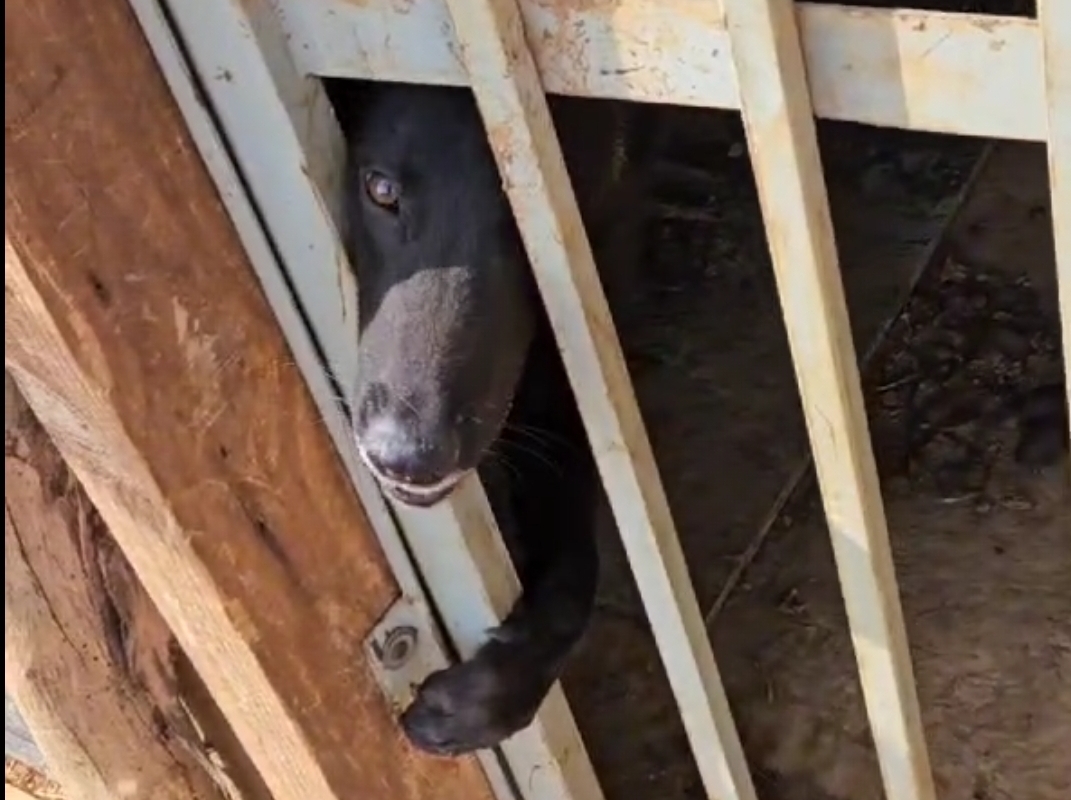 screenshot 20240925 114114 gallery