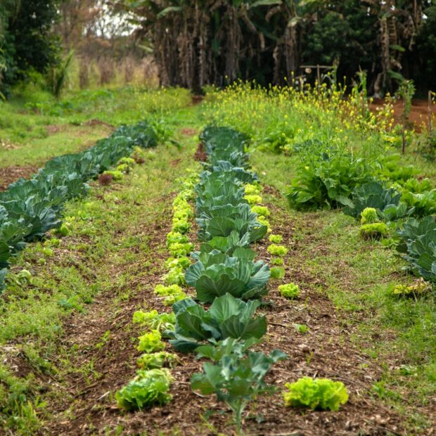 whatsapp image 2024 09 25 at 11.17.55