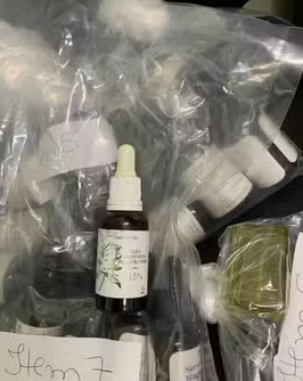 captura de tela 2024 09 26 074952