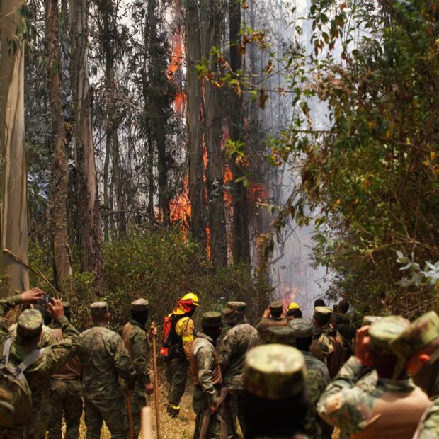 ecuador environment climate wildfire