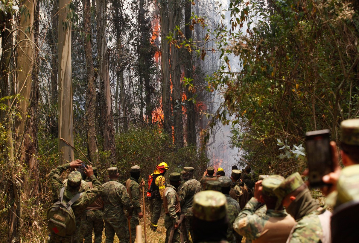ecuador environment climate wildfire