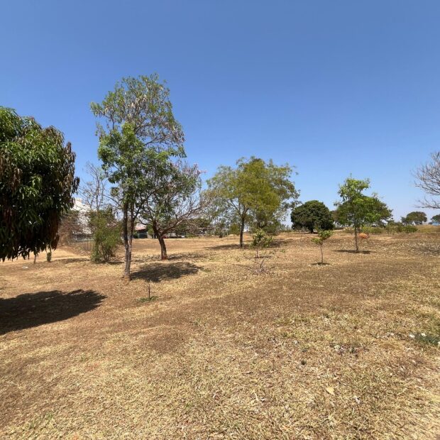 o parque urbano e vivencial bosque dos eucaliptos vai ganhar novos equipamentos públicos com o programa adote uma praça