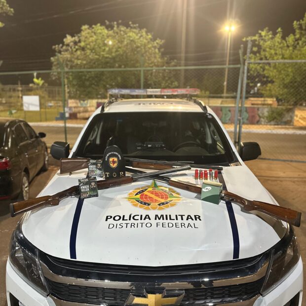 apreensão de arma de fogo