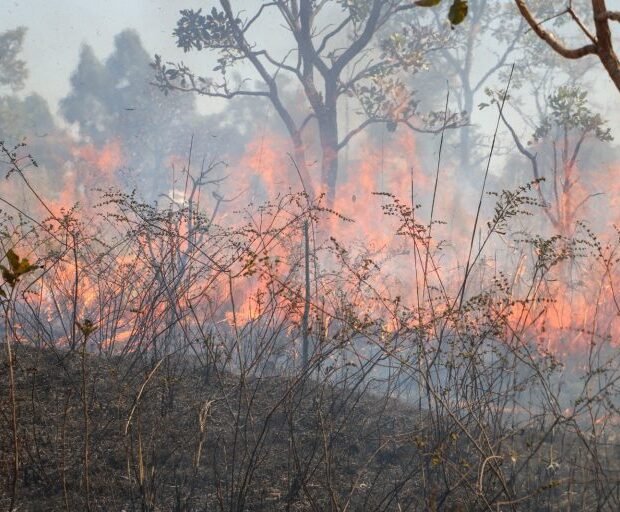 incêndio