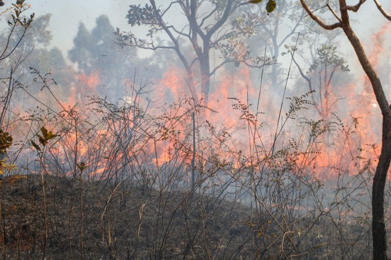 incêndio