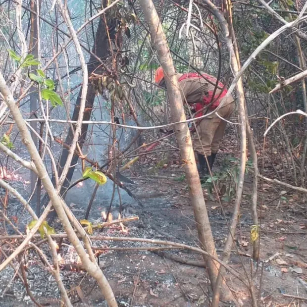 whatsapp image 2020 10 04 at 15.25.00