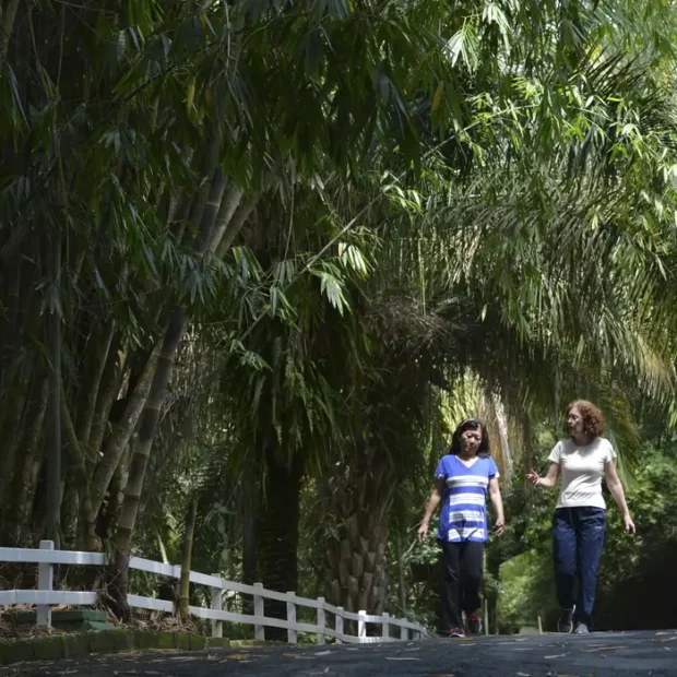 1104306 rvras abr 01102018721120180110