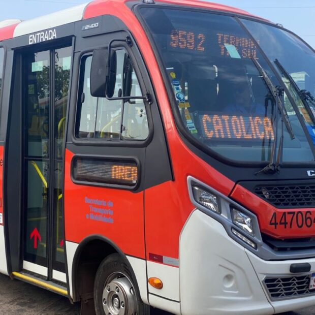onibus zebrinha