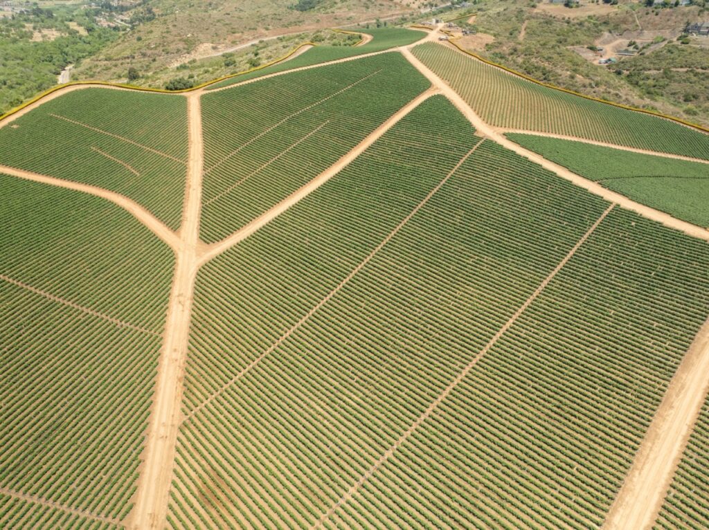 whatsapp image 2024 10 01 at 10.30.42 (1)