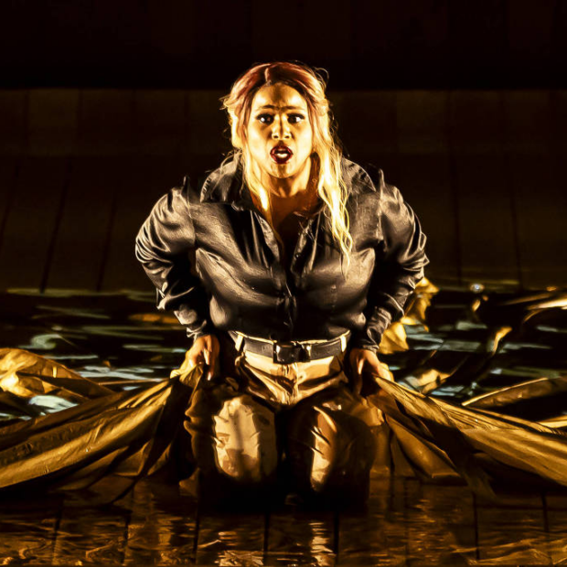 imagem 2024 10 01 141919624