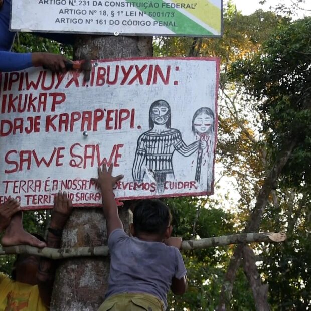 img c.a.m. sawre muybu