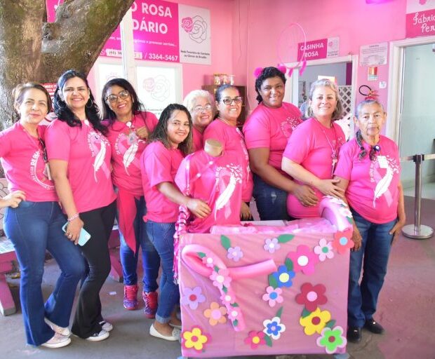 rede feminina de combate ao câncer