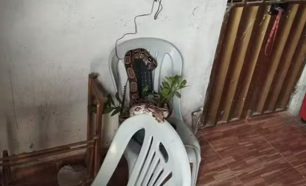 captura de tela 2024 10 02 102443