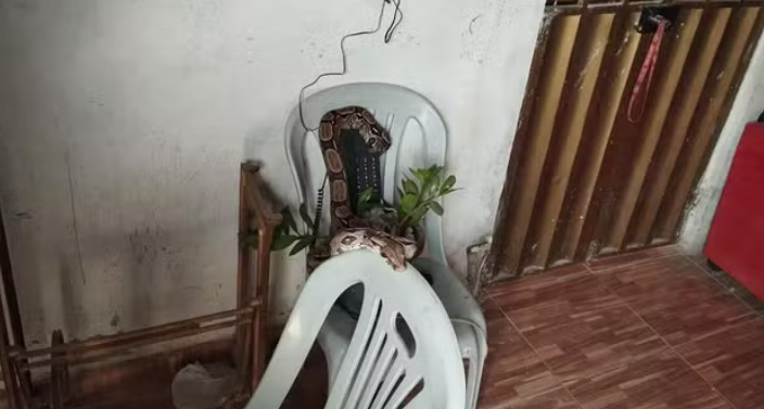 captura de tela 2024 10 02 102443