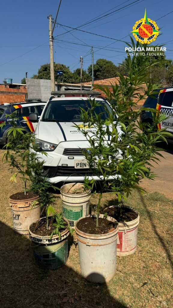 whatsapp image 2024 10 02 at 11.44.11 (1)