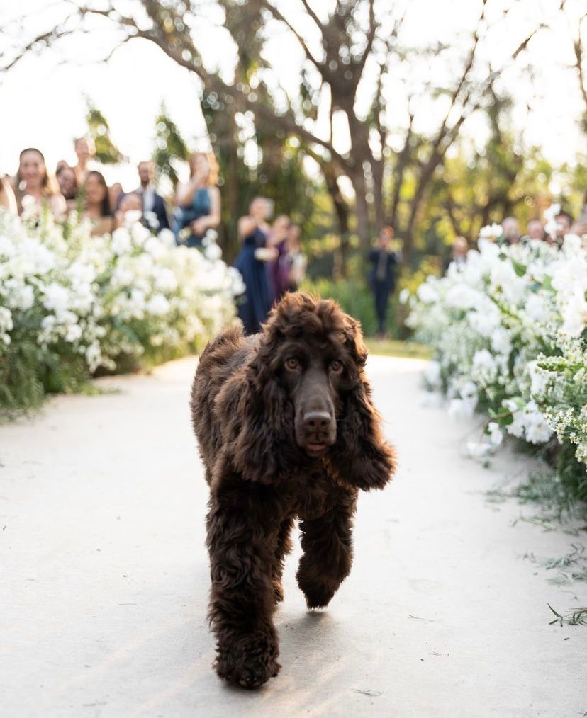 whatsapp image 2024 10 03 at 09.12.09 (3)