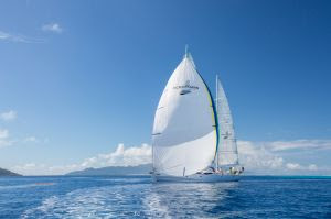 whatsapp image 2024 10 03 at 10.21.42 (2)