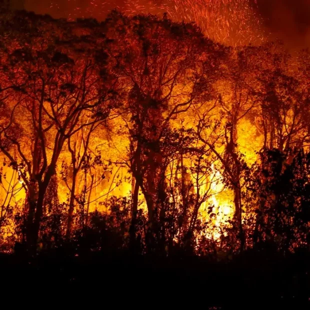 incendio ti mt
