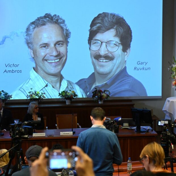 nobel saúde
