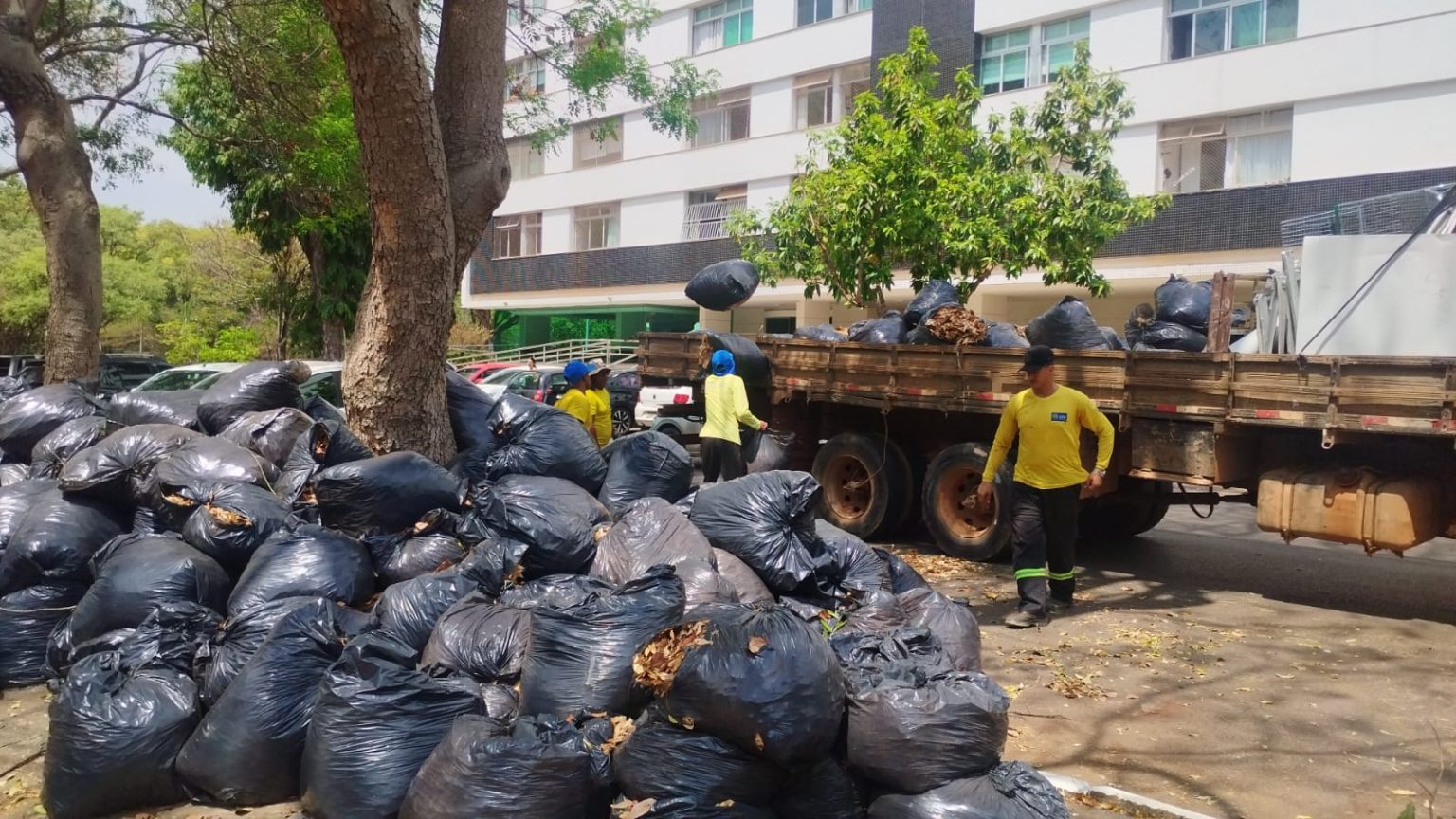 A operação conta com dois caminhões com capacidade, cada um, de até 10 toneladas e 45 trabalhadores. O serviço deve continuar por toda a semana | Foto: Divulgação/Administração do Plano Piloto