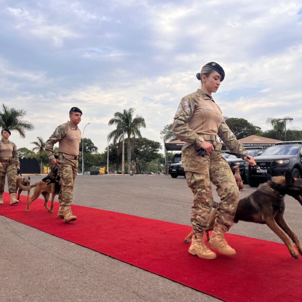 imagem do whatsapp de 2024 10 08 à(s) 19.14.11 f71a6f2a