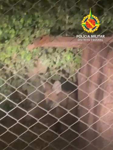 captura de tela 2024 10 09 063252