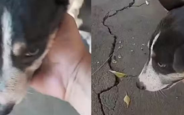 captura de tela 2024 10 09 083501