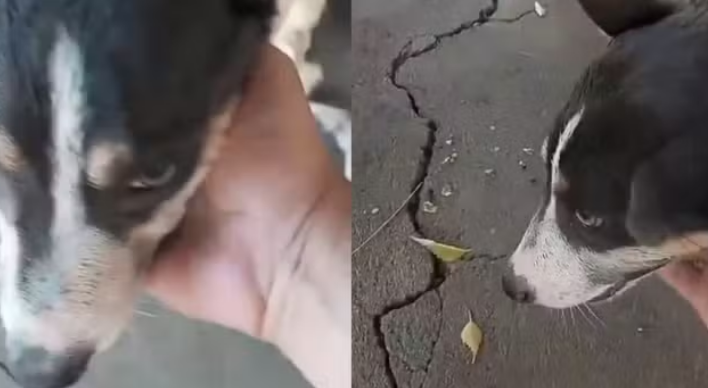 captura de tela 2024 10 09 083501