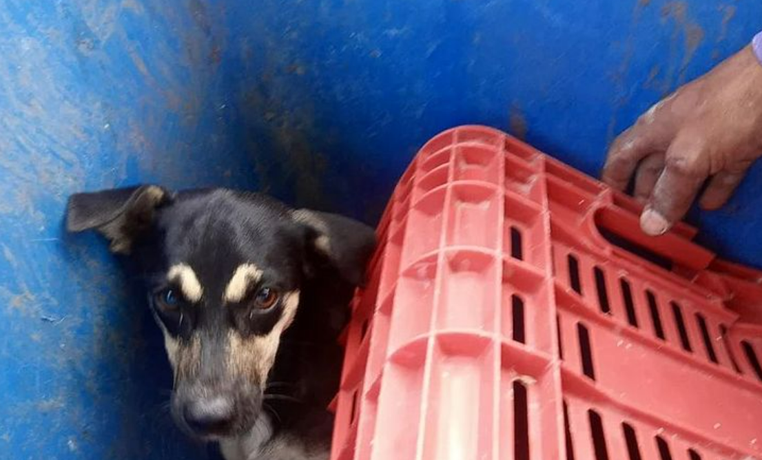 captura de tela 2024 10 09 120510