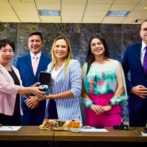 9.10. visita da delegacao chinesa. foto george gianni vgdf 1920x1280