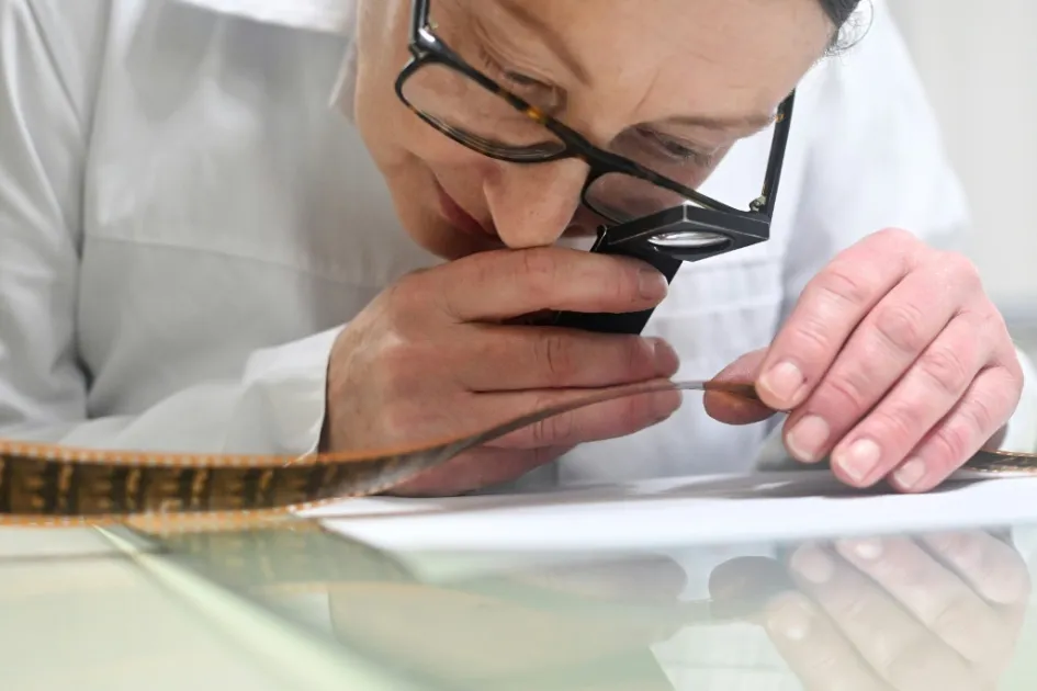 56a137045a97729a9956f829bd7b2b43 87702836