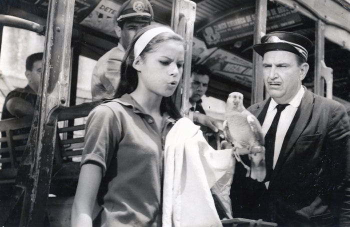 cronica.da.cidade.amada