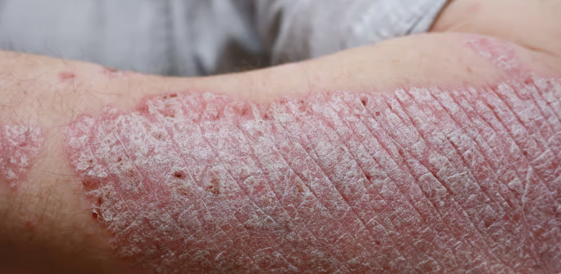 captura de tela 2024 10 10 103807