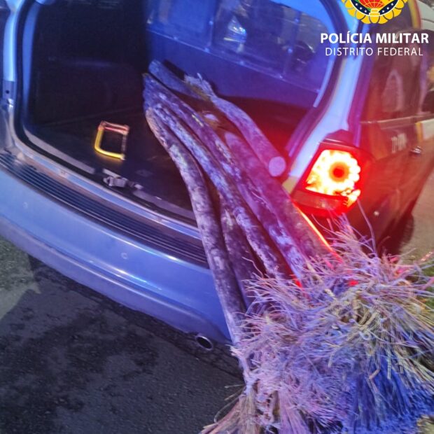 whatsapp image 2024 10 10 at 10.49.42