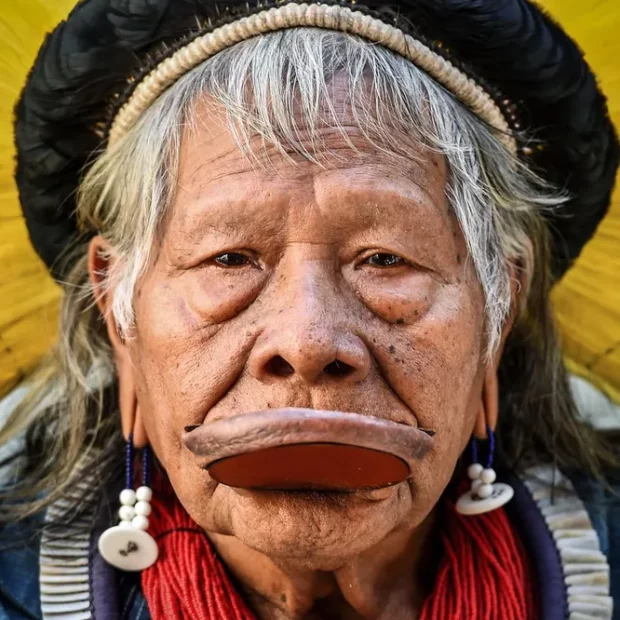 85169251 cacique 20raoni 20em 20entrevista 20 c3 a0 20bbc 20ontem 20afirmou 20 e2 80 9cnossa 20luta 20contra 20bolsonaro 20 c3 a9 20a 20mesma 20que