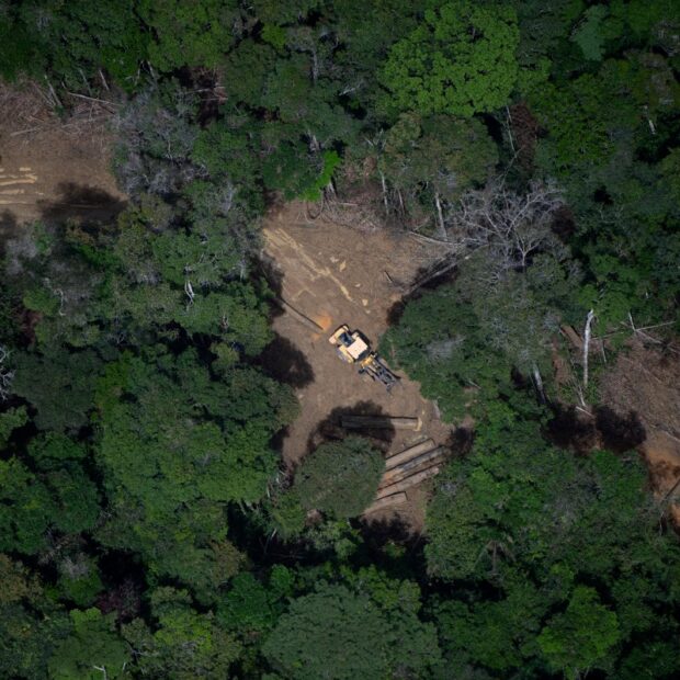 files brazil amazon Desmatamentorainforest deforestation