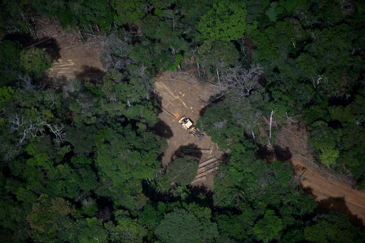 files brazil amazon Desmatamentorainforest deforestation