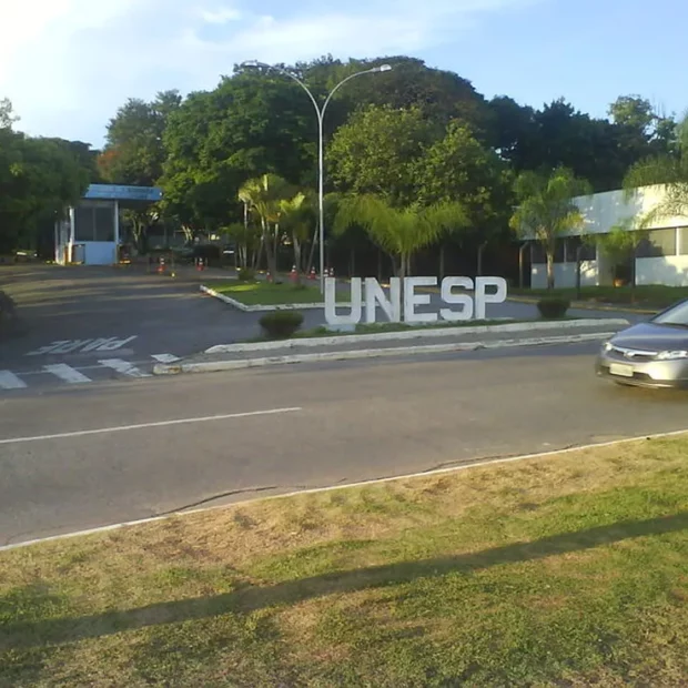 unespfeg