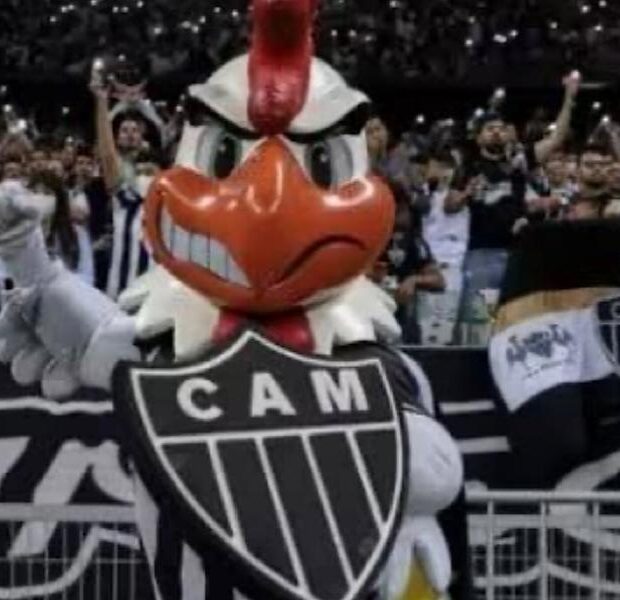 galo