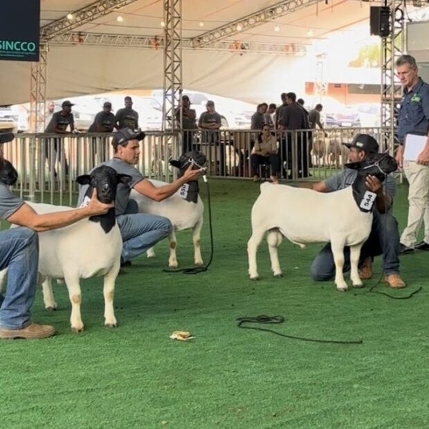 12.10. materia seagri3 e1728743054834