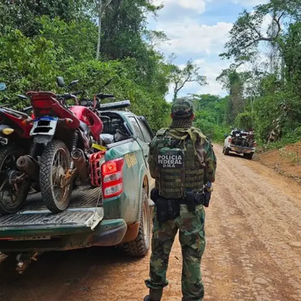 pf incra ibama e pm combatem invasao de terras publicas