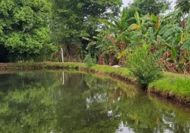 captura de tela 2024 10 14 071434