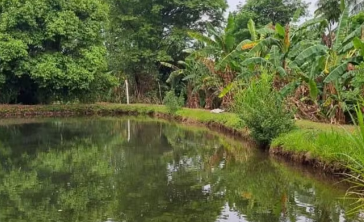 captura de tela 2024 10 14 071434