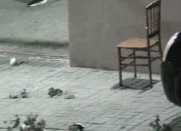 captura de tela 2024 10 14 091733