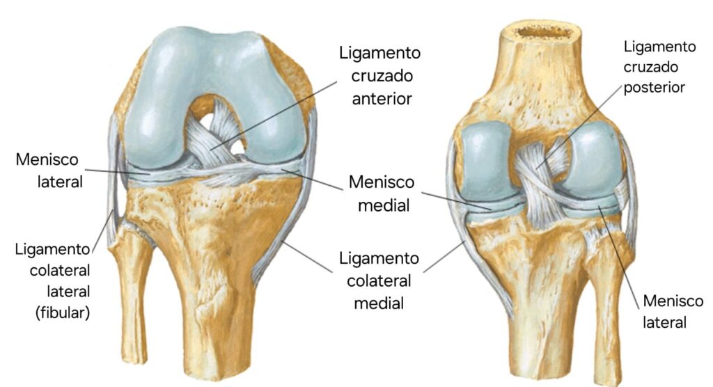 whatsapp image 2024 10 14 at 09.02.11 (1)