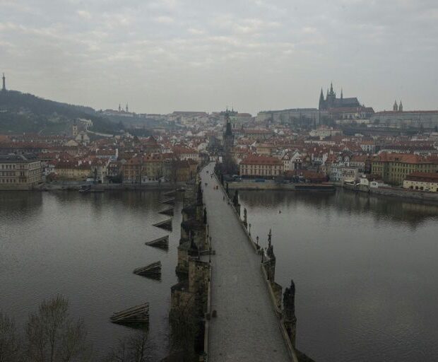 whatsapp image 2024 10 14 at 11.39.54