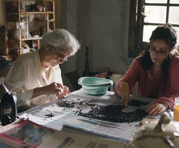 1728852843670c336b99191 1728852843 3x2 md