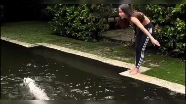 design sem nome 2024 10 14t105103652 00878955 0 3