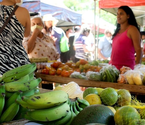 image processing20220405 13979 vnsayx