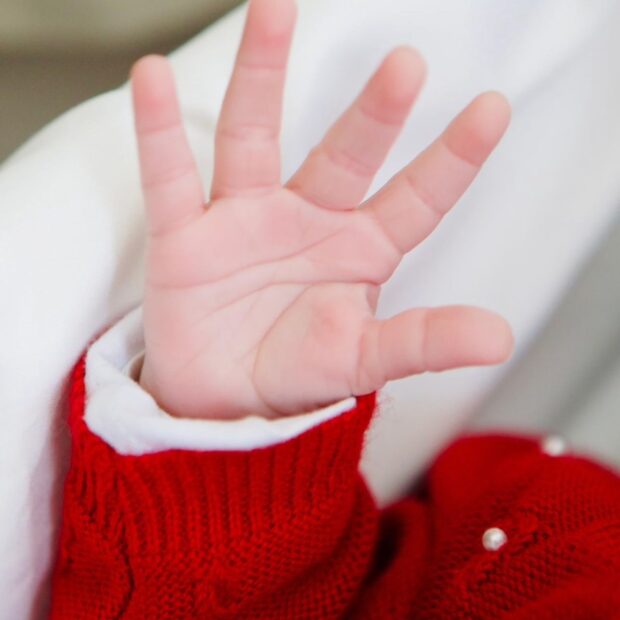 whatsapp image 2024 10 16 at 14.38.33